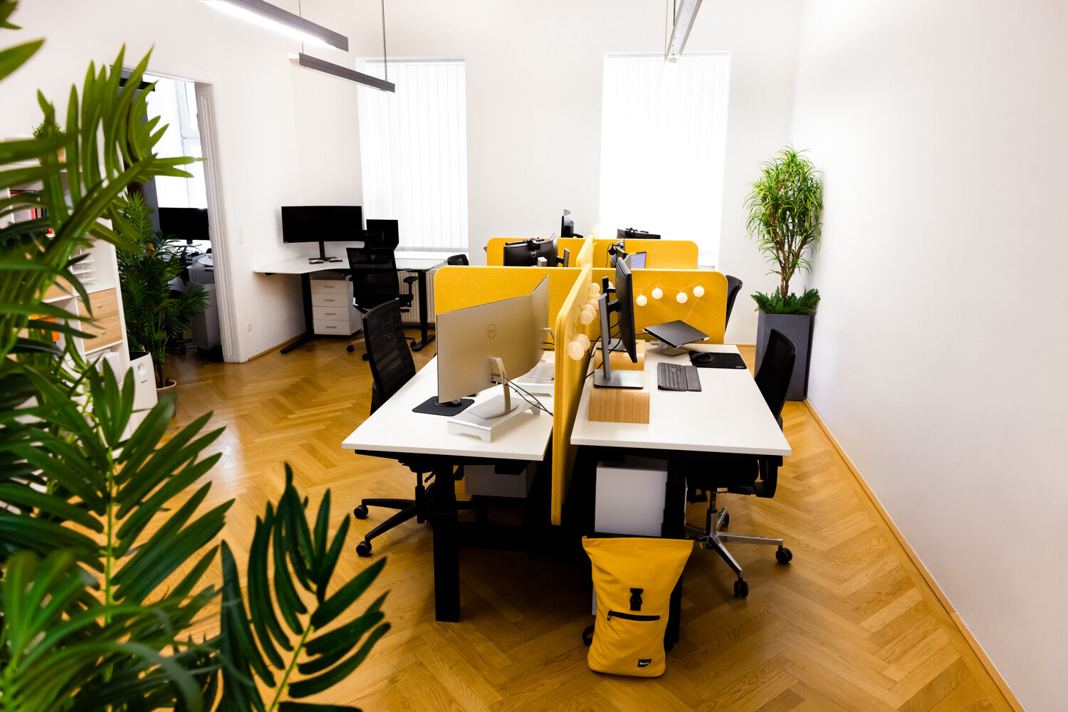 Symbol photo for CTO as a Service