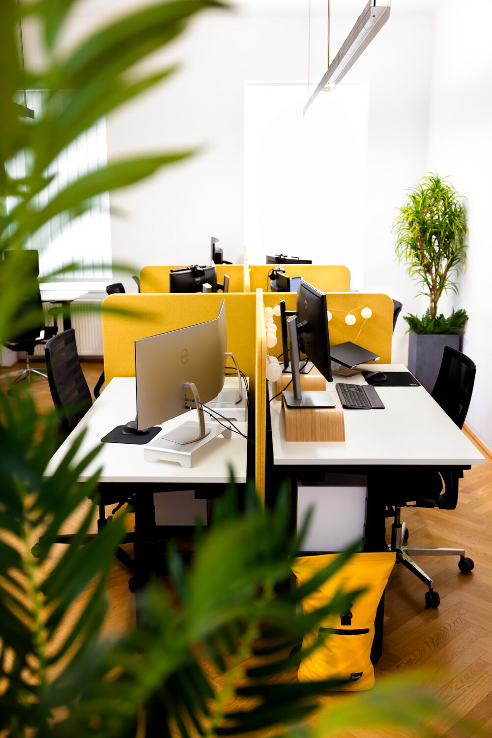 mood image giving impressions of the company